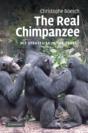 The Real Chimpanzee - Preview