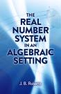 The Real Number System In An Algebraic Setting - Preview