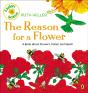 The Reason For A Flower - Preview