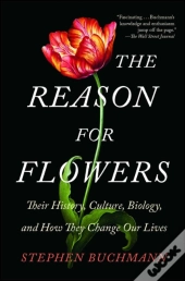 The Reason For Flowers