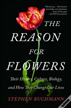 Capa do artigo The Reason For Flowers
