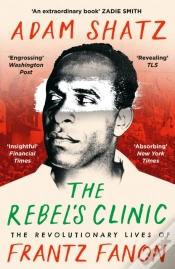 Capa do artigo The Rebel