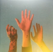 Capa do artigo The Record - Vinil
