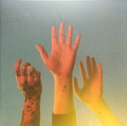 Capa do artigo The Record - Vinil