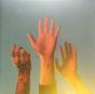 The Record - Vinil - Preview