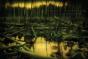 The Recurring Dream - Preview