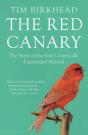 The Red Canary - Preview