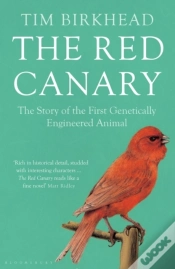 Capa do artigo The Red Canary