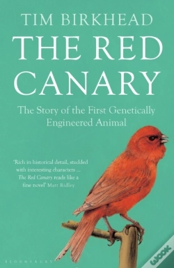 Capa do artigo The Red Canary