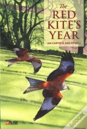 The Red Kiteâ€™S Year