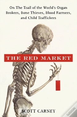 Capa do artigo The Red Market