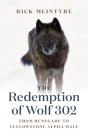 The Redemption Of Wolf 302 - Preview