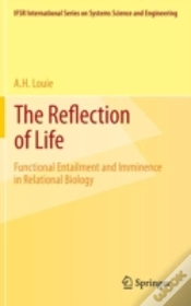 Capa do artigo The Reflection Of Life