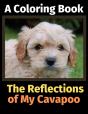 The Reflections Of My Cavapoo: A Colorin - Preview