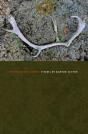 The Reindeer Camps - Preview