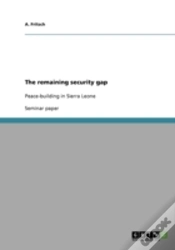 Capa do artigo The Remaining Security Gap