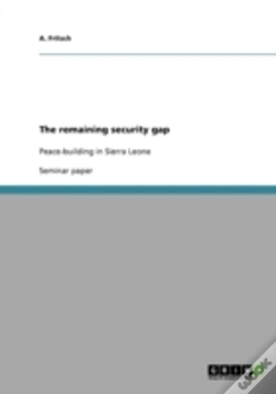 Capa do artigo The Remaining Security Gap