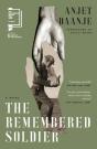 The Remembered Soldier - Preview