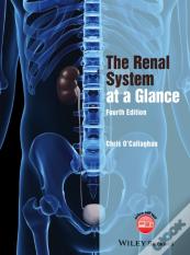 The Renal System At A Glance