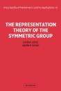 The Representation Theory Of The Symmetric Group - Preview
