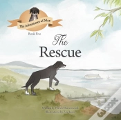 Capa do artigo The Rescue