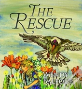 The Rescue