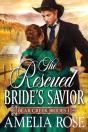 The Rescued Bride'S Savior - Preview