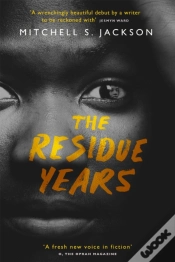 Capa do artigo The Residue Years