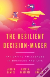 The Resilient Decision-Maker