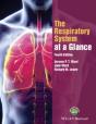 The Respiratory System At A Glance - Preview