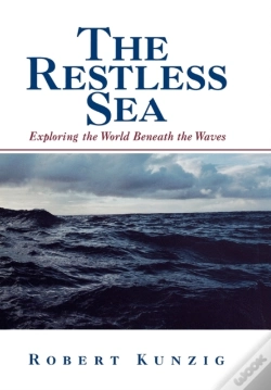 Capa do artigo The Restless Sea