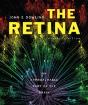 The Retina - Preview
