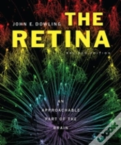 Capa do artigo The Retina