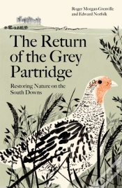 Capa do artigo The Return Of The Grey Partridge