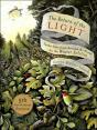 The Return Of The Light - Preview