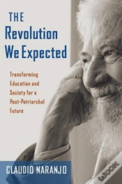 Capa do artigo The Revolution We Expected