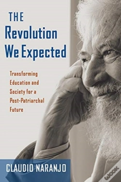 Capa do artigo The Revolution We Expected
