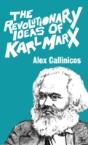 The Revolutionary Ideas Of Karl Marx - Preview