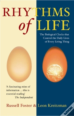 Capa do artigo The Rhythms Of Life
