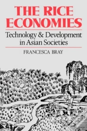 Capa do artigo The Rice Economies