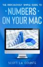 The Ridiculously Simple Guide To Numbers - Preview