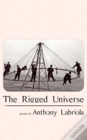 Capa do artigo The Rigged Universe