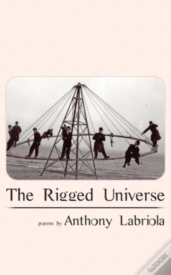 Capa do artigo The Rigged Universe