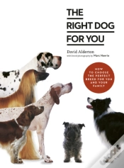 Capa do artigo The Right Dog For You