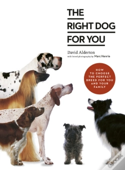 Capa do artigo The Right Dog For You