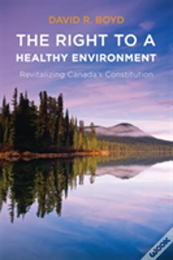 Capa do artigo The Right To A Healthy Environment