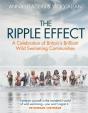 The Ripple Effect - Preview