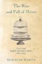 The Rise And Fall Of Meter - Preview