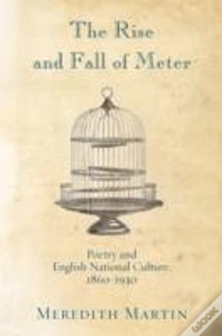 Capa do artigo The Rise And Fall Of Meter