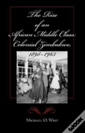 Capa do artigo The Rise Of An African Middle Class